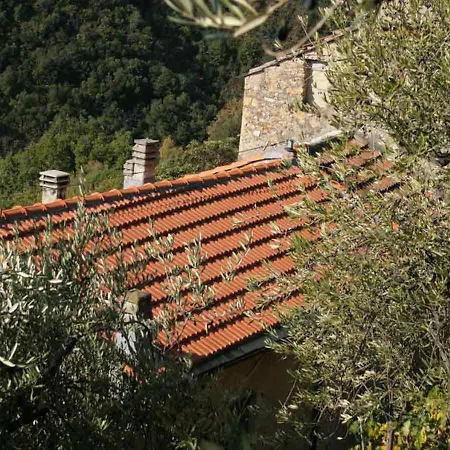 Il Sogno Di Luca